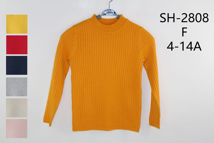 Picture of SH2808P -  FASHION TURTLENECK EXTRA SOFT MATERIAL AND THICK